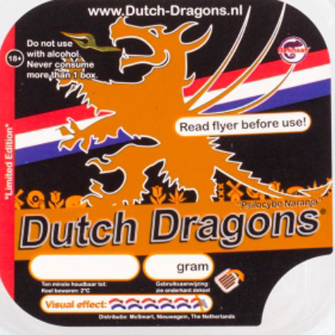 dragon kinderen oranje